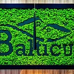 Balticus