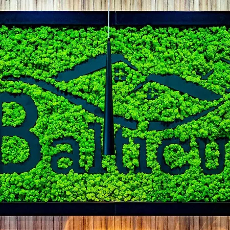 Balticus